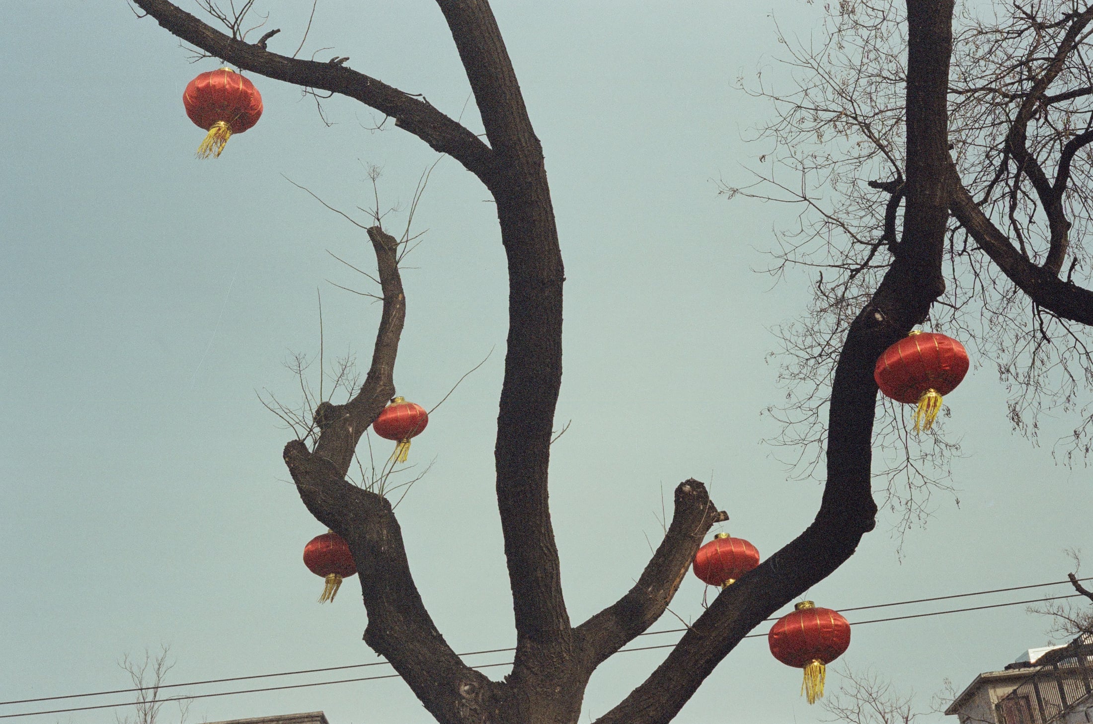 On foot, photograph 13